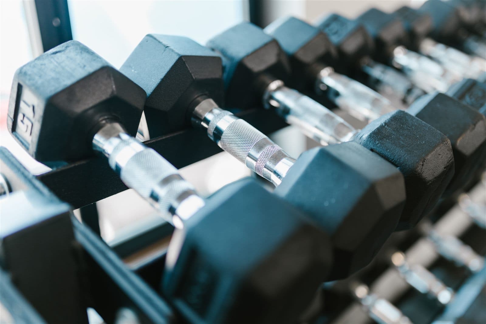 Free Weights and Strength Zone